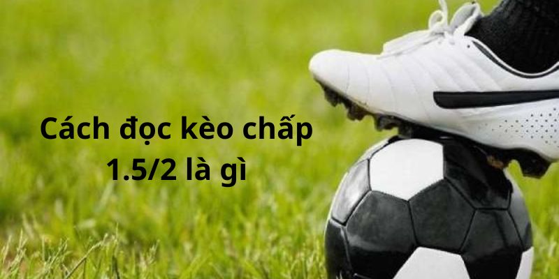 Chia sẻ hướng dẫn cách đọc kèo chấp 1.5/2